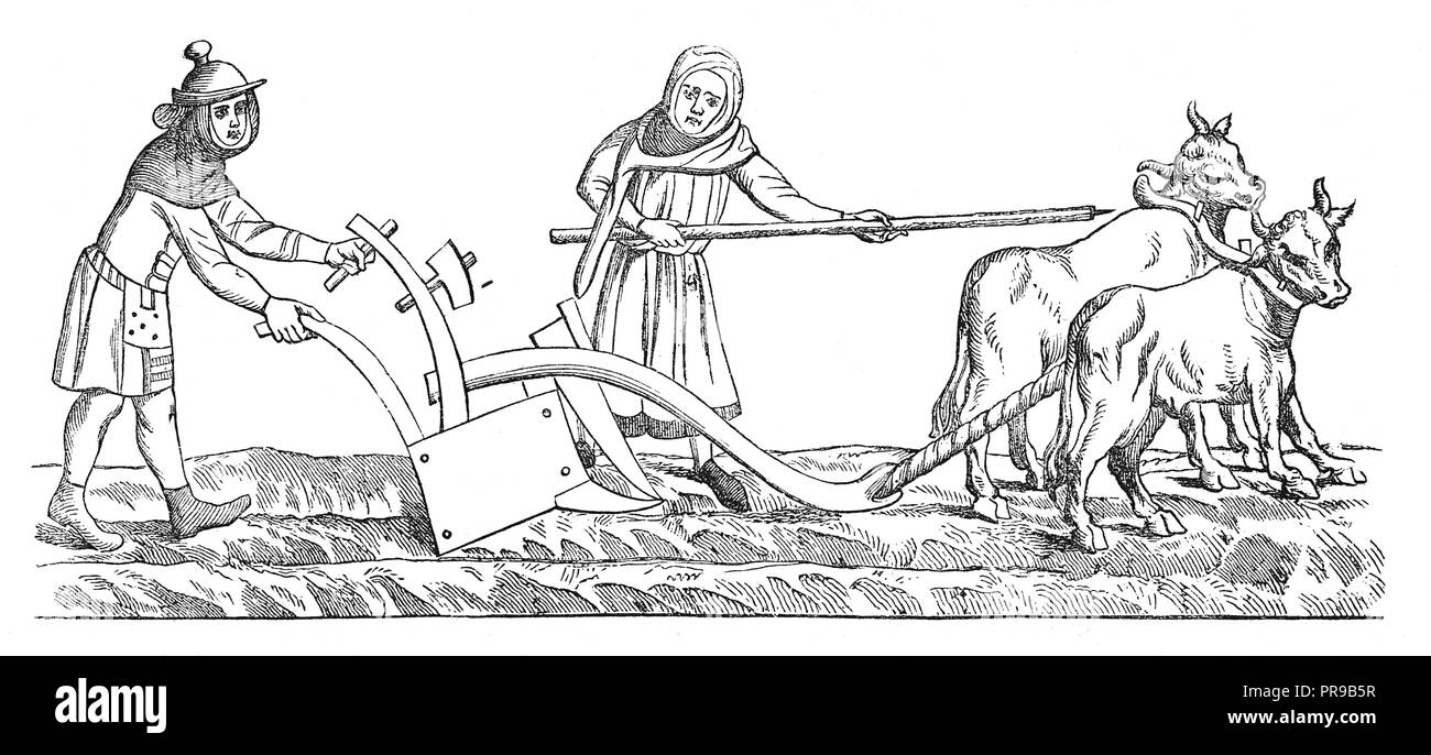 19th century illustration of farmers, laborers and shape plows in England in 14th century. Original artwork published in Le magasin Pittoresque Stock Photo