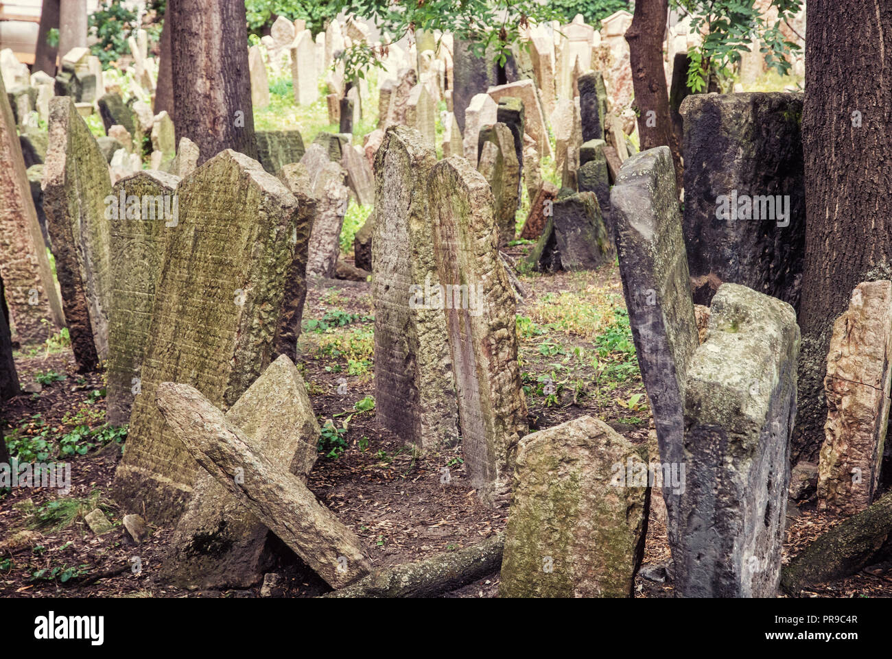 Jewish cemetery in Prague, Czech republic. Memorial place. Many graves. Historical object. Old photo filter. Stock Photo