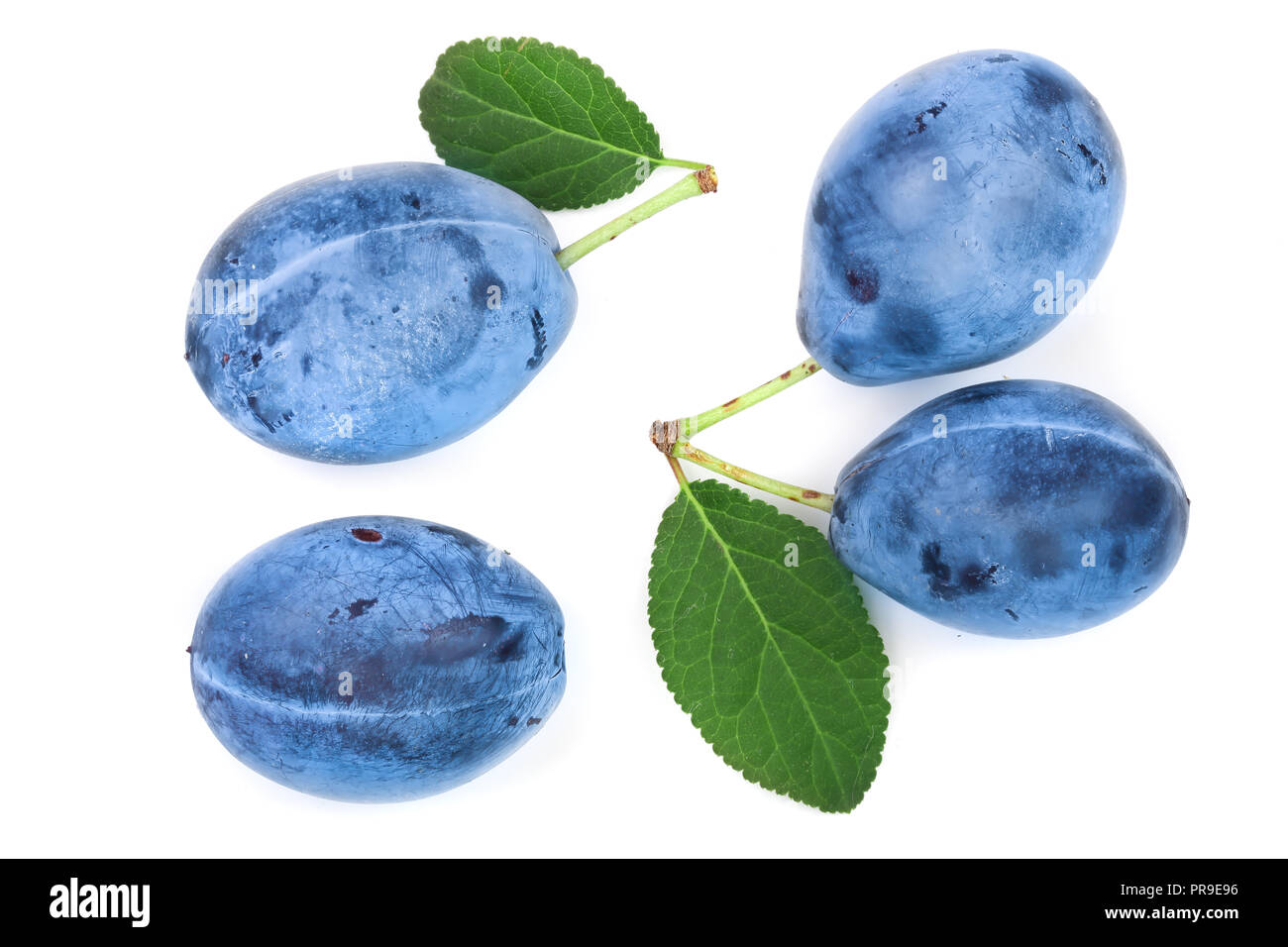 plums with leaf isolated on a white background. Top view. Flat lay pattern Stock Photo