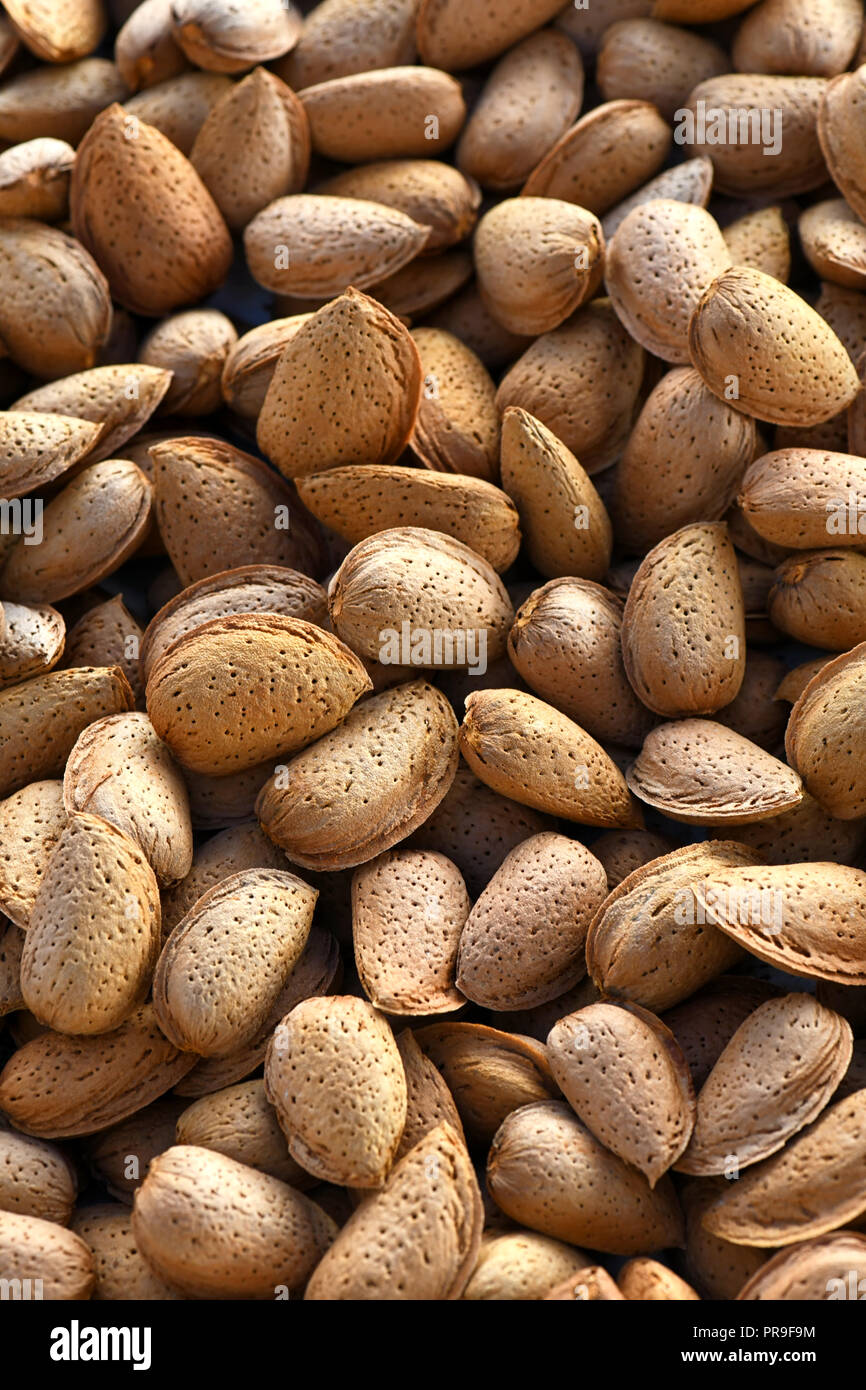 organic almonds in their shells full frame image with selective focus in vertical background and