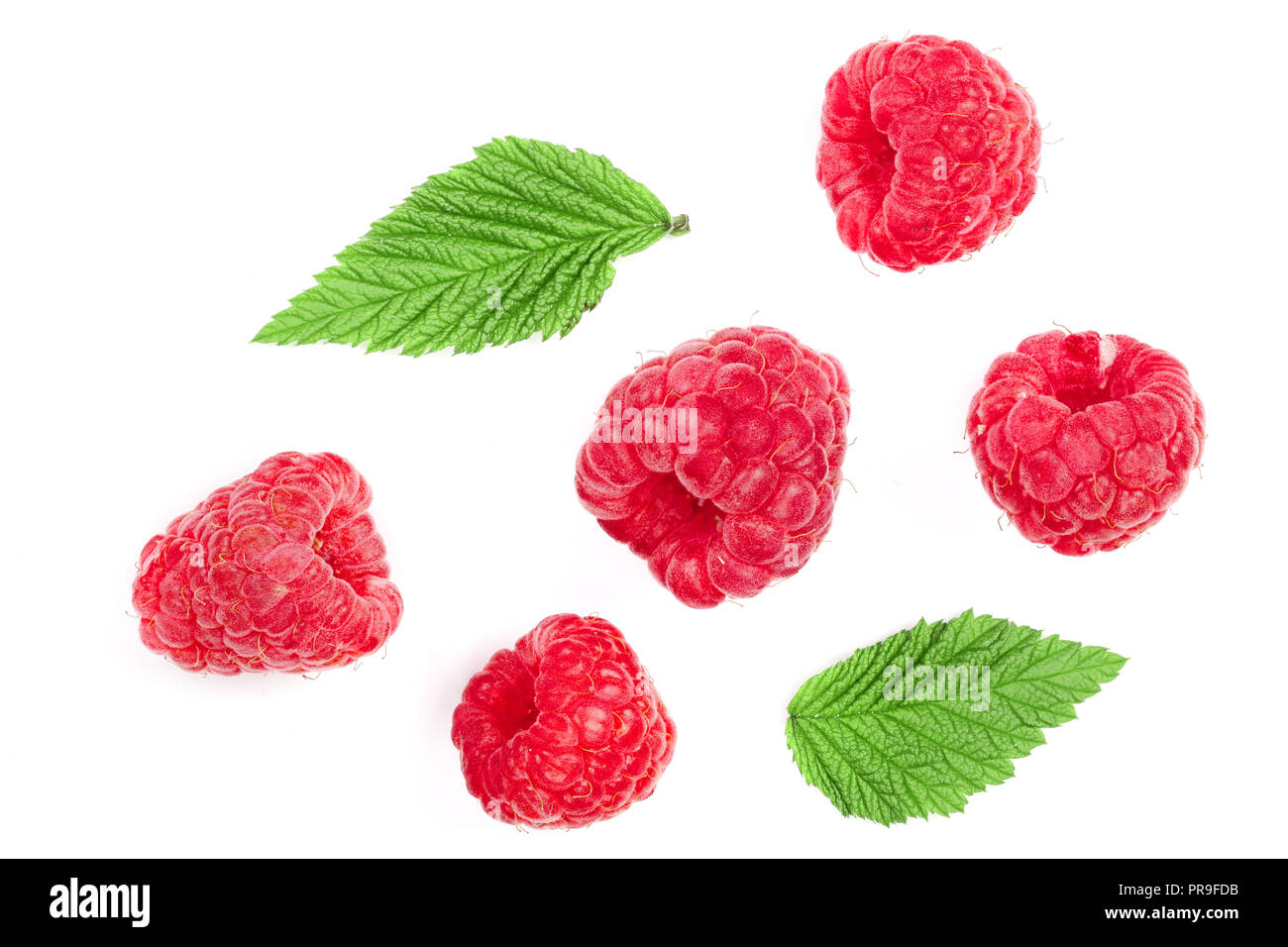 Raspberry Flat Lay raspberries with leaves isolated on white background. Top view. Flat ...