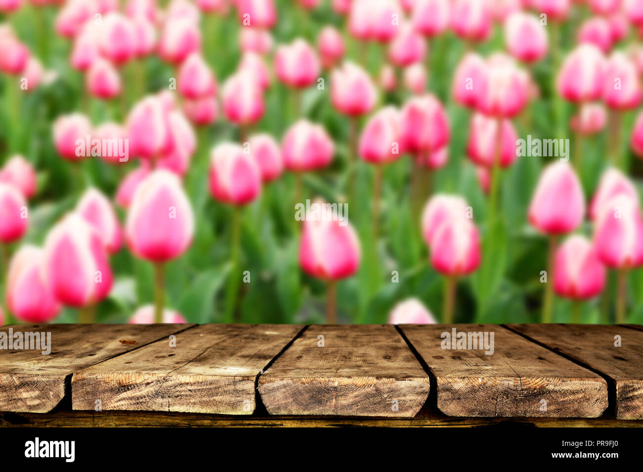 Empty table background Stock Photo - Alamy