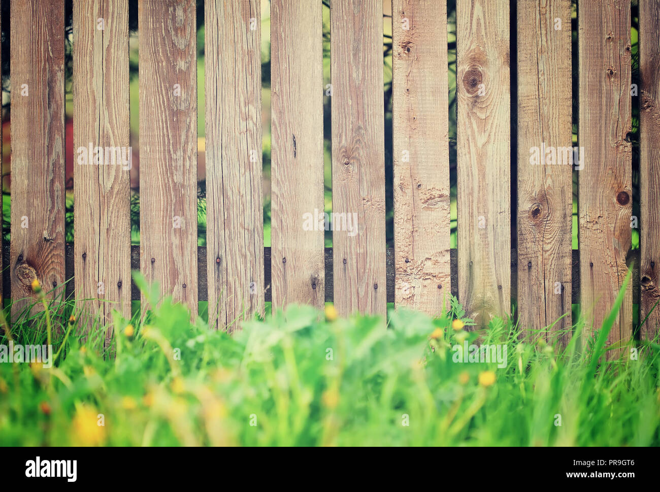 wooden fence with green grass background. Focus on fence Stock Photo ...