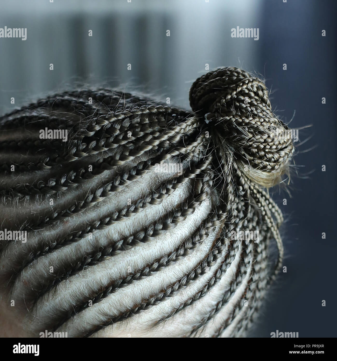 a bundle of thin plaits on a head close-up of a cornrow Stock Photo