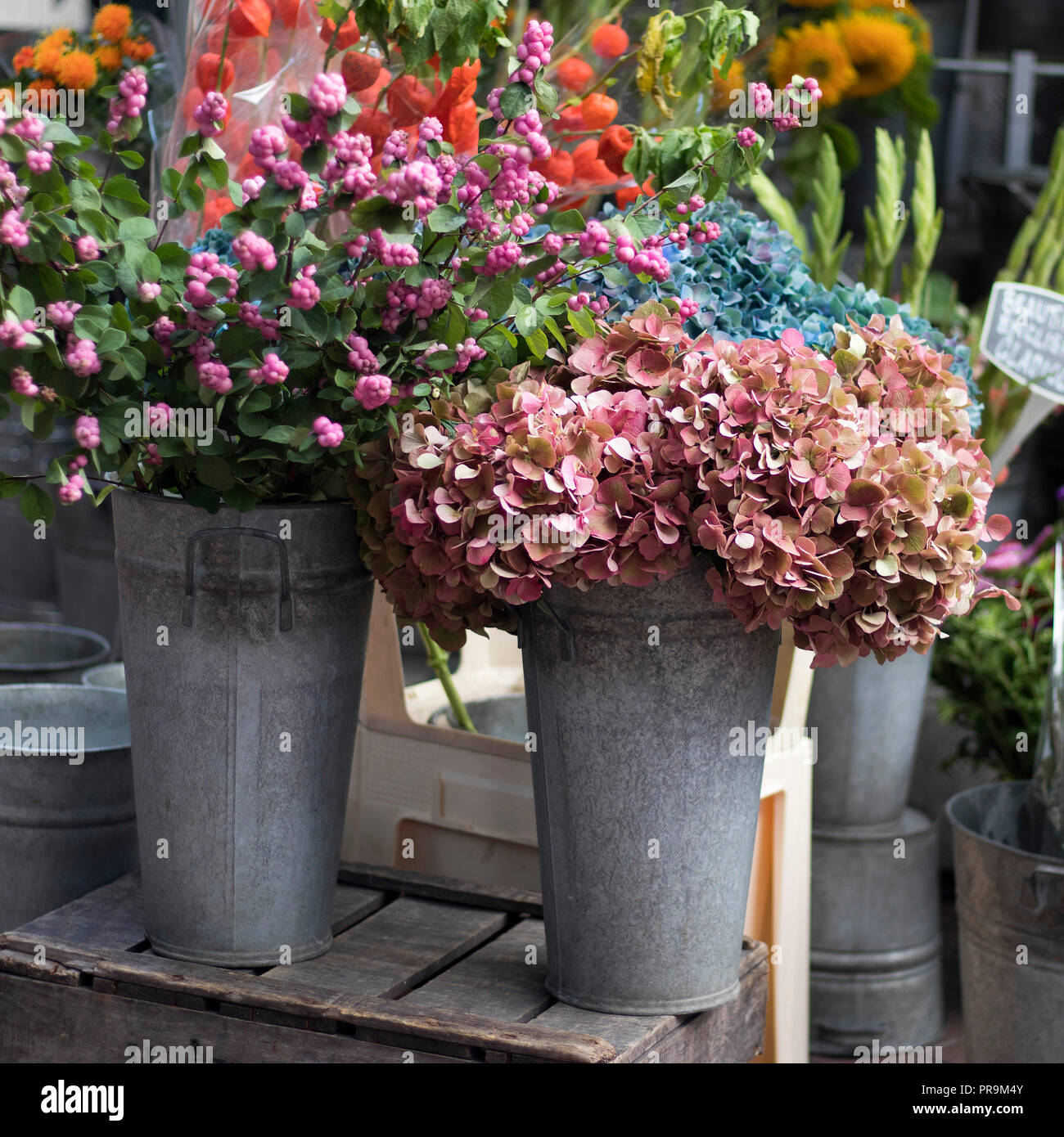 Bouquets of hydrangea and pink snow berries for sale at the entrance to the store Stock Photo