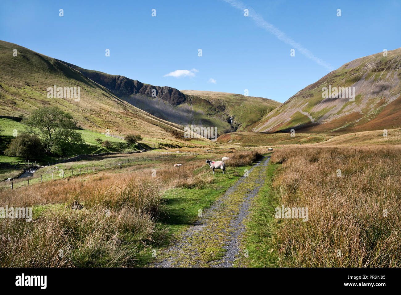 The Howgill Fells rear Sedbergh, Yorkshire Dales National Park, UK. Cautley Spout waterfall is seen in the distance (centre). Stock Photo