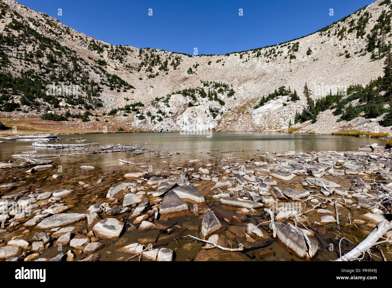 Johnson Lake sits at an elevation of 10,700 feet and was once the water source for a tungston mine in Great Basin National Park. Stock Photo