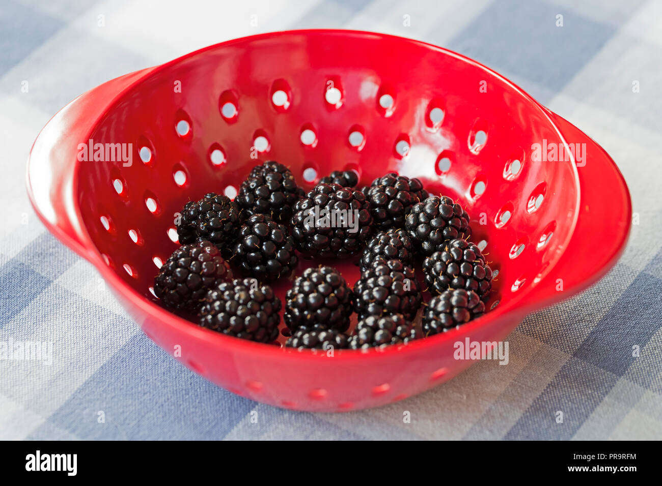 Ripe blackberries in a red dish Stock Photo