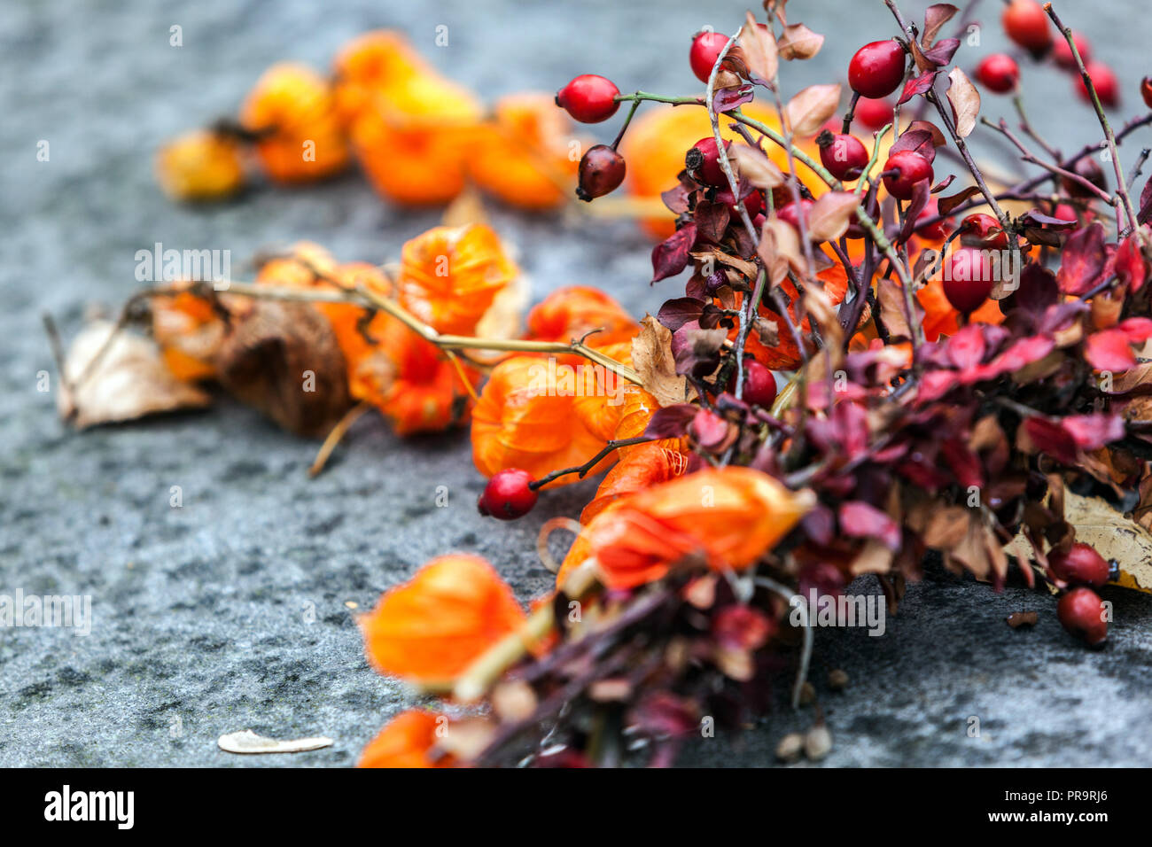 Dry flowers, China lantern Physalis Floral decoration of graves on All Saints' Day, Czech Republic All soul's day Europe Stock Photo