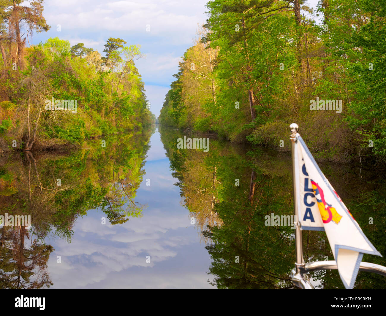 Dismal Swamp Canal in spring. Stock Photo