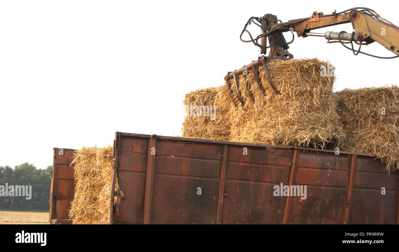 Tractor collecting straw bales close up Stock Photo Alamy