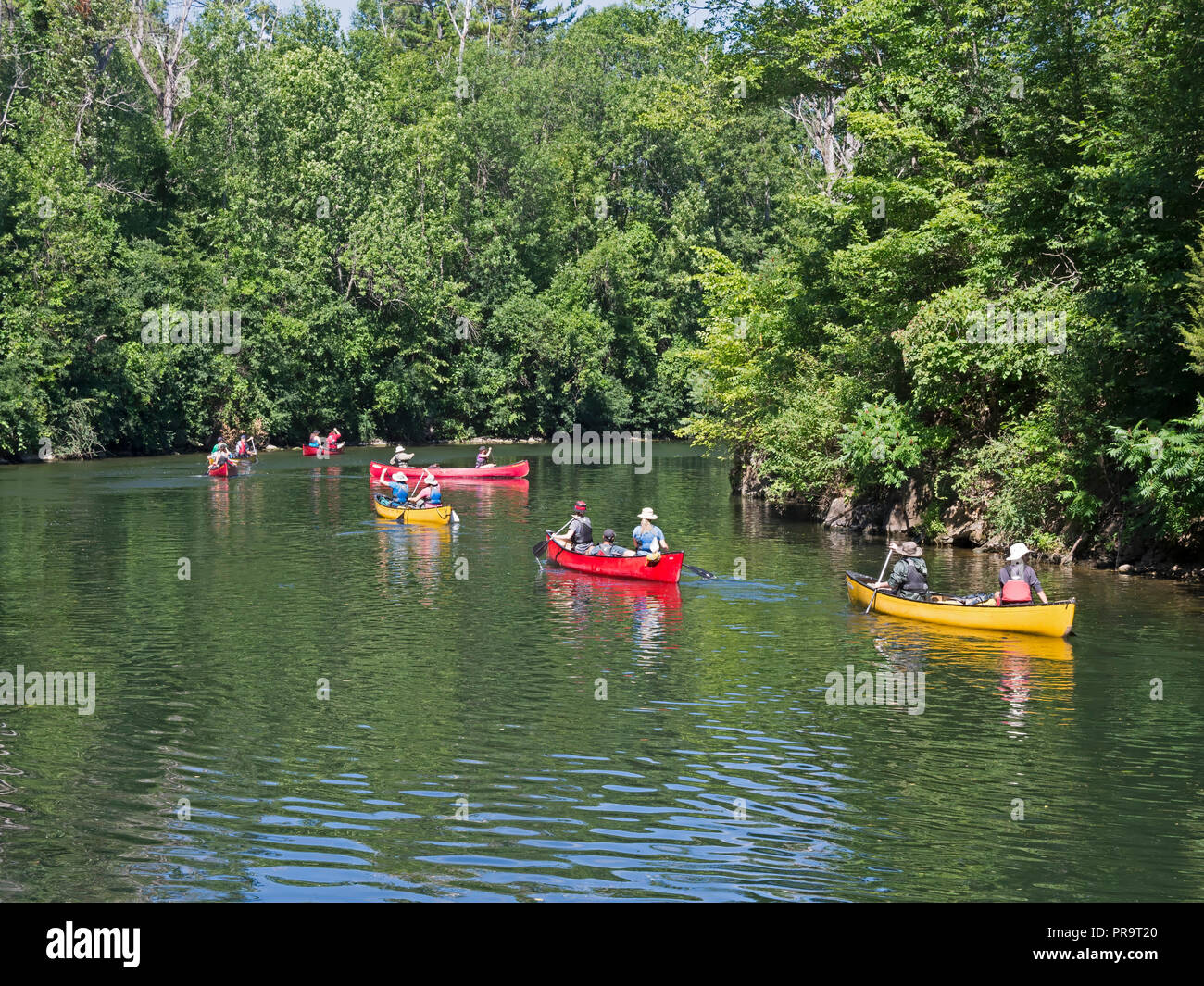 Canoeing on the Rideau Canal, Newboro Channel, Ontario, Canada Stock