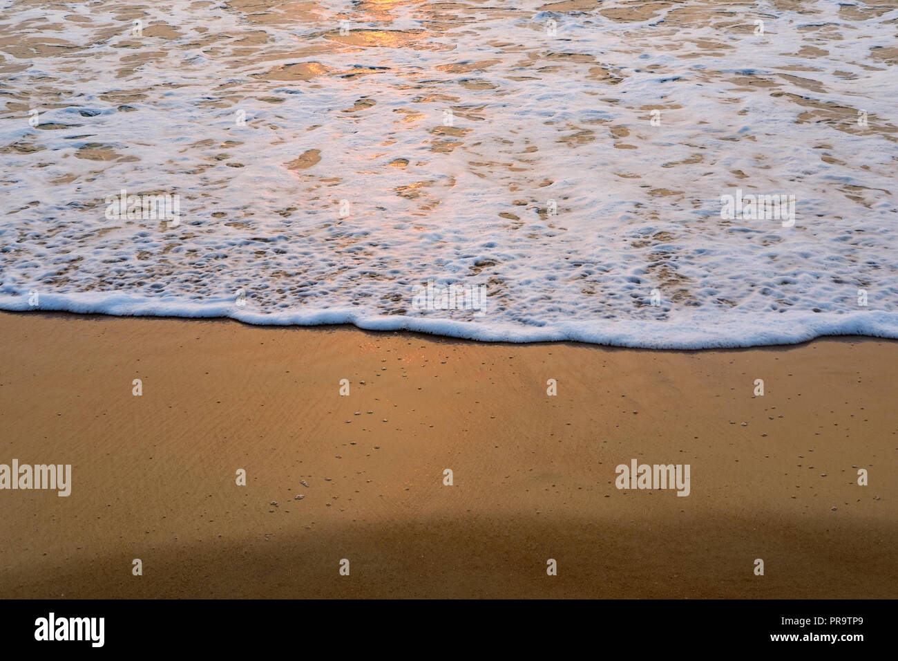 Sea foam on the beach hi-res stock photography and images - Alamy