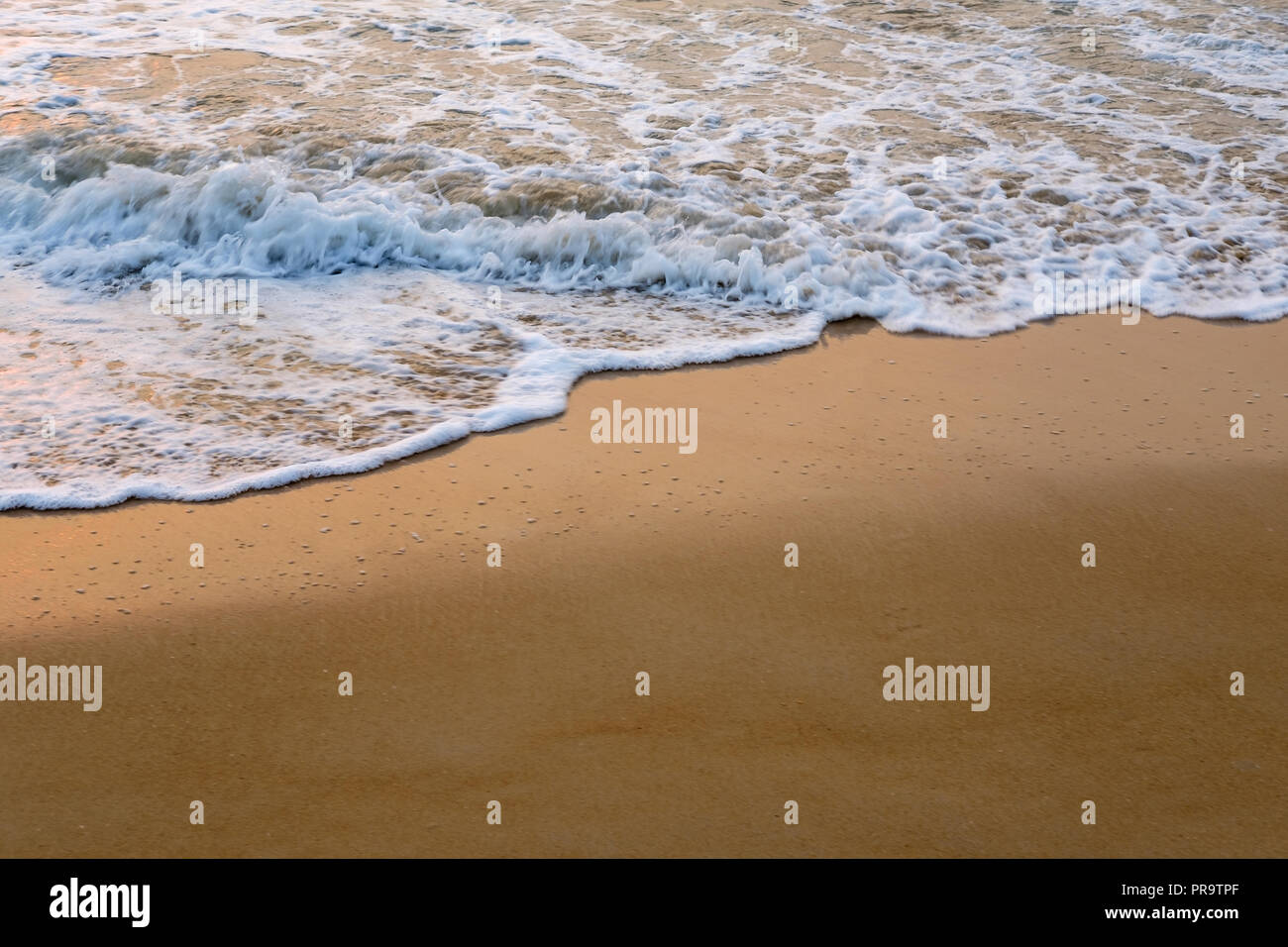 Sea foam on the beach hi-res stock photography and images - Alamy
