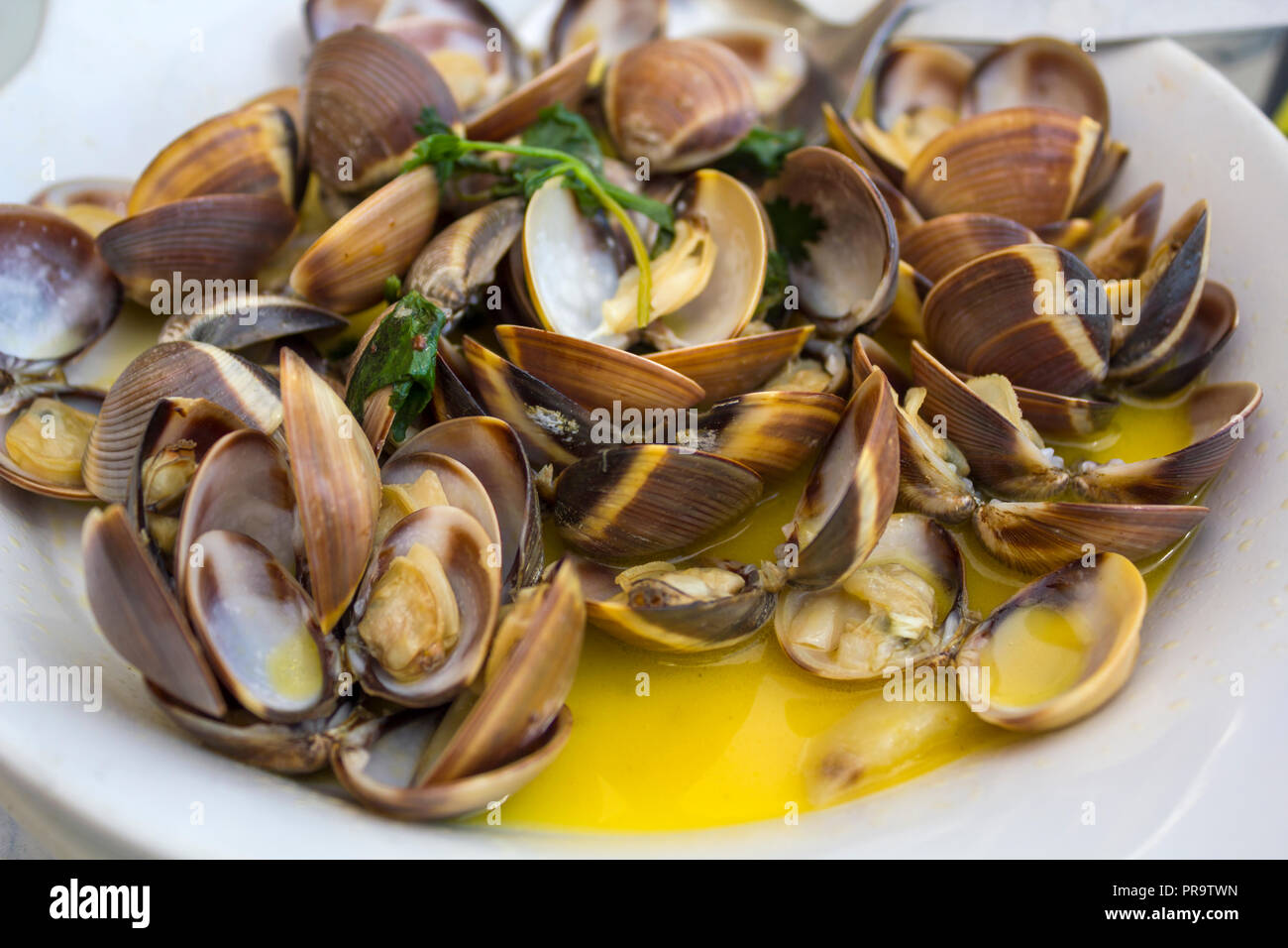 Portuguese clams hires stock photography and images Alamy