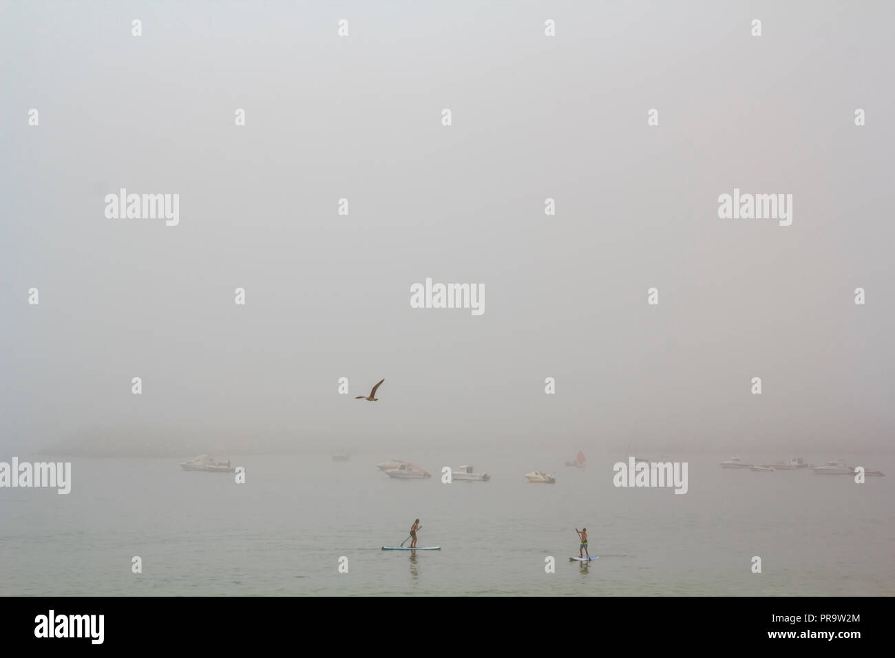 Stand Up Paddle surf in the fog Stock Photo