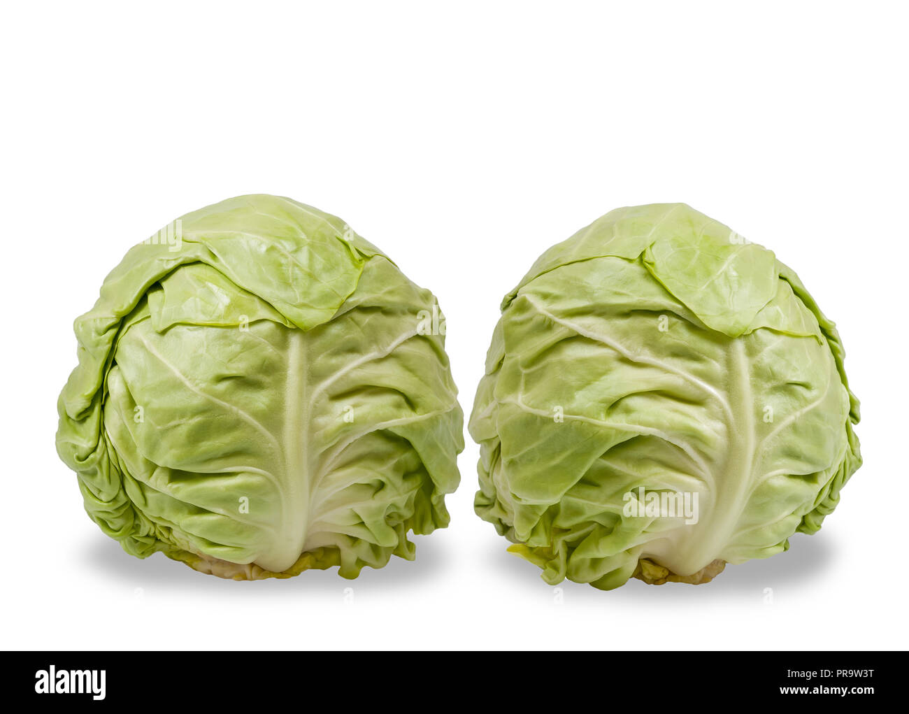 Frash Cabbages isolated on white background Stock Photo