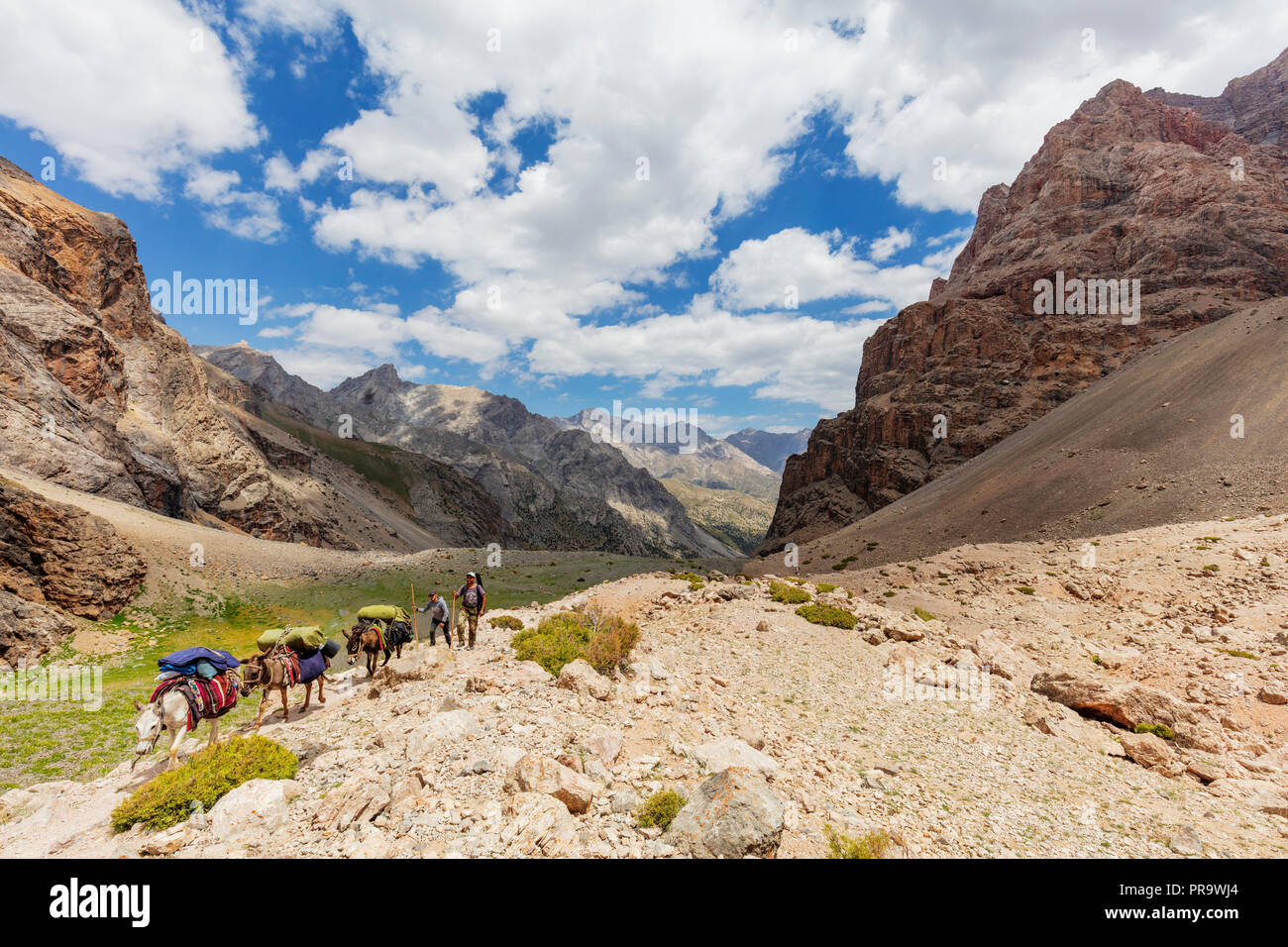 Central Asia, Tajikistan, Fan mountains, donkeys on hiking trail Stock Photo