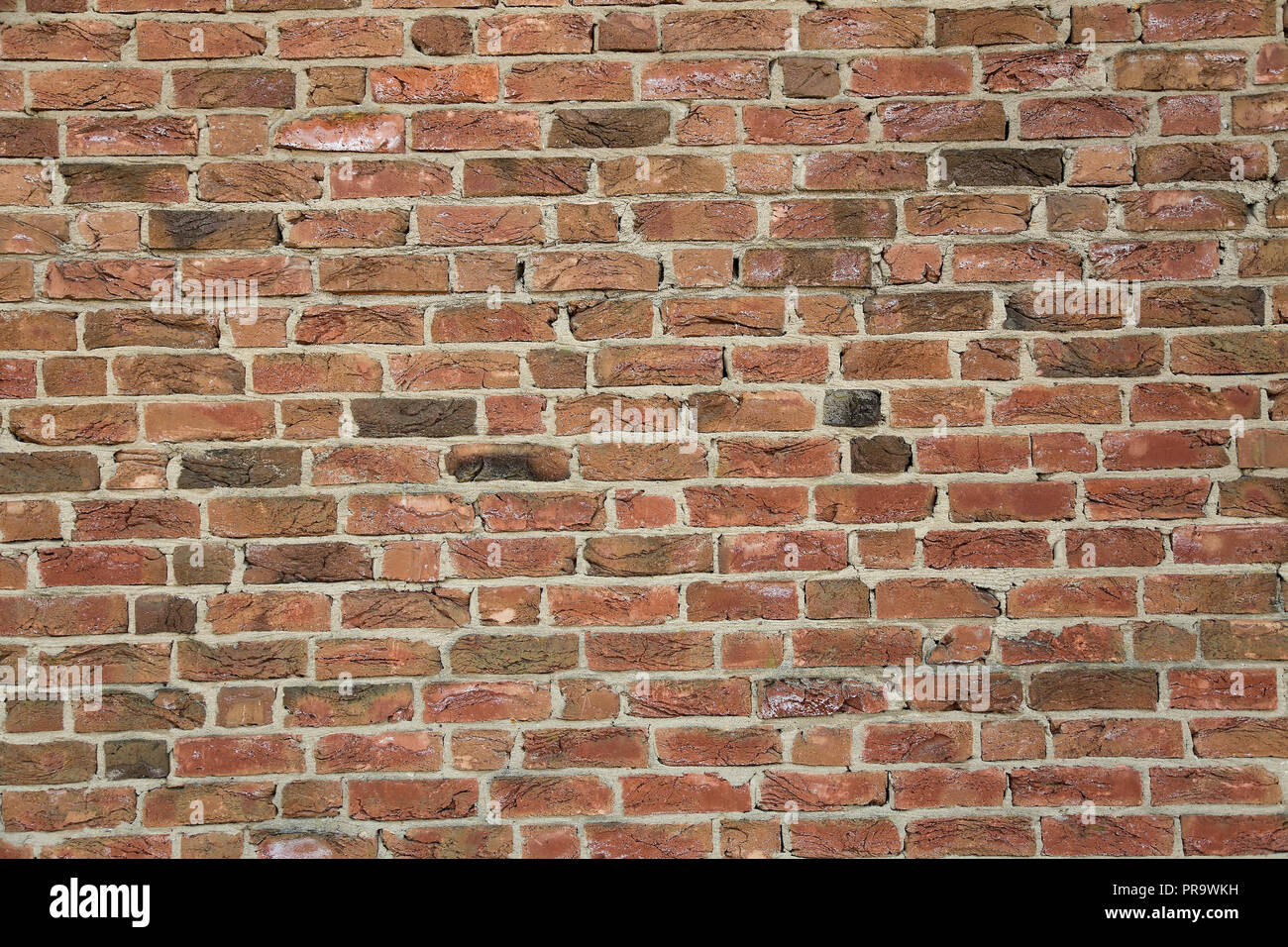 A Wall of red bricks. Red Bricks Stock Photo - Alamy