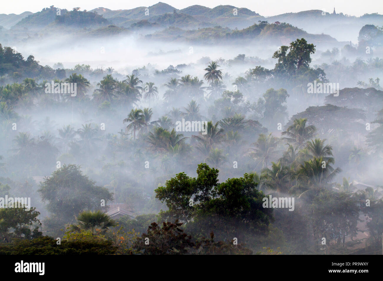 Morning mist in the jungle and hills outside Mrauk U town. West