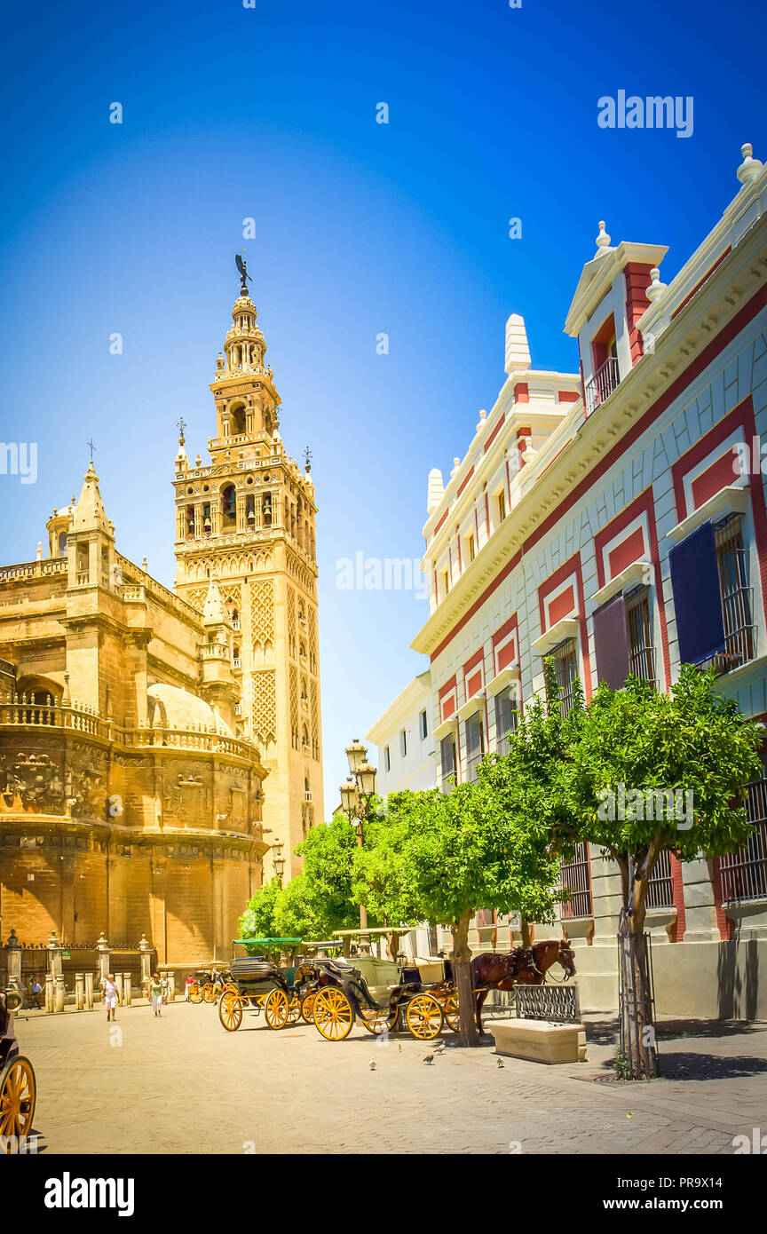 atreet near cathedral,  Seville, Spain Stock Photo