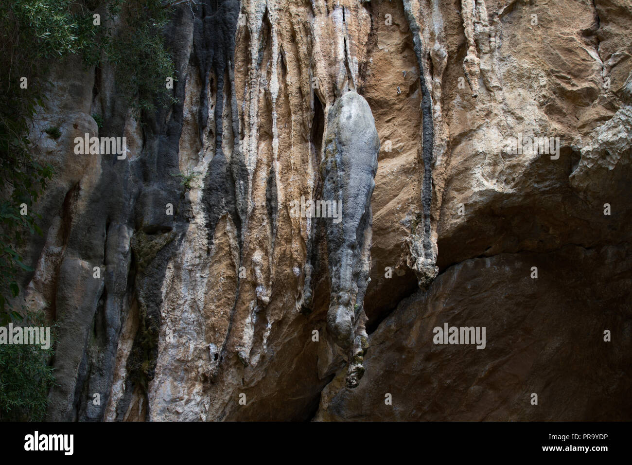 Stalactite Hanging From Cave Ceiling Grotte Di S Giovanni