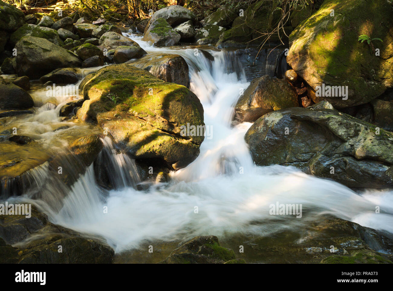 Gurgling stream rushing down a remote gorge in Euboea island, Greece Stock  Photo - Alamy