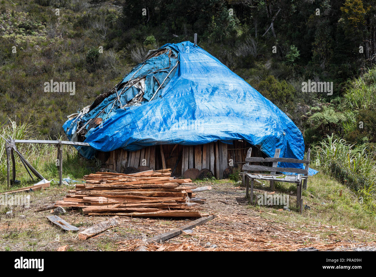 Grass-top hut of native Dani people. Wamena, Papua, Indonesia. Stock Photo