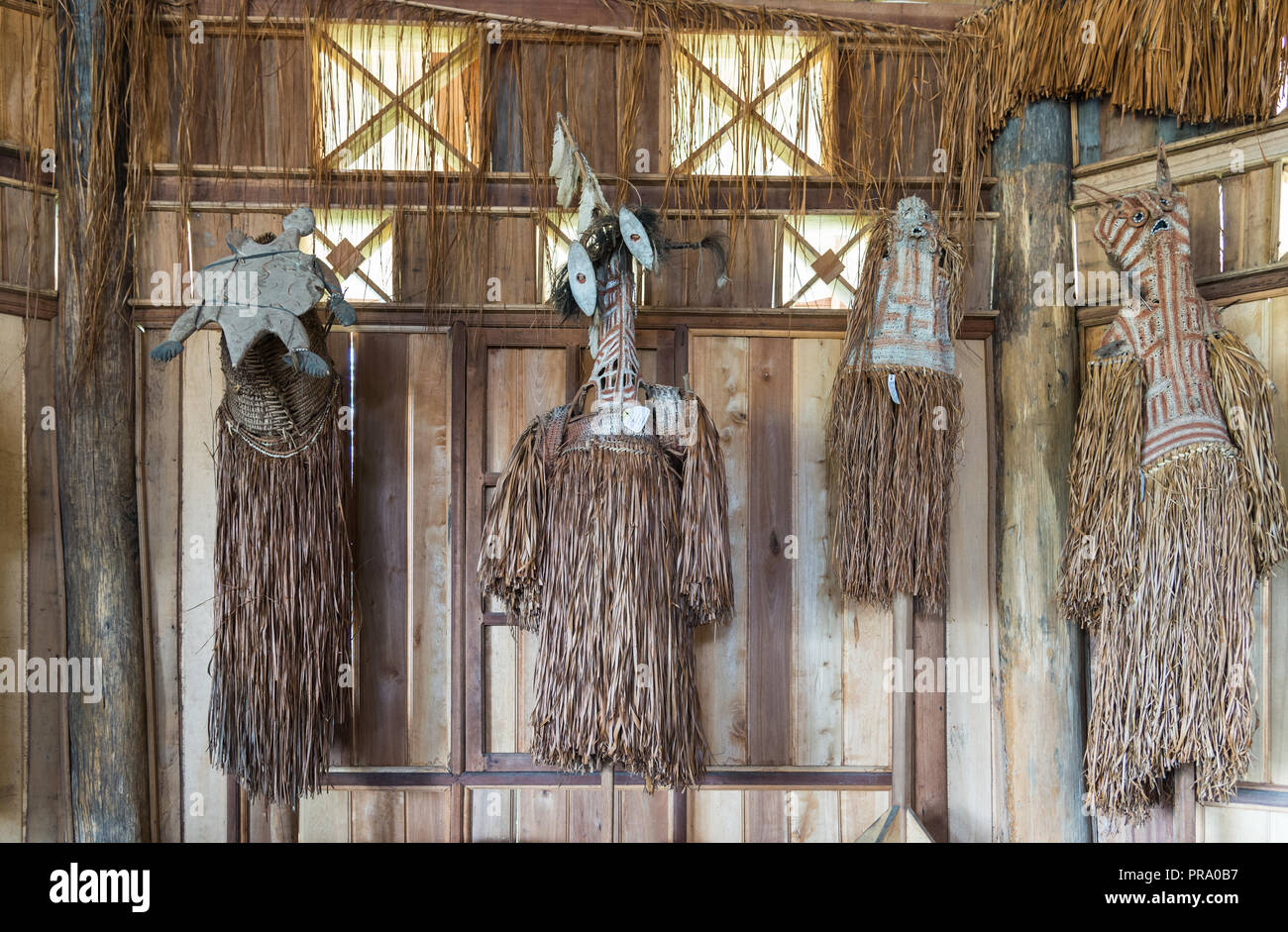Collection of traditional grass skirts indigenous women wear hanging on a wall. Wamena, Papua, Indonesia. Stock Photo