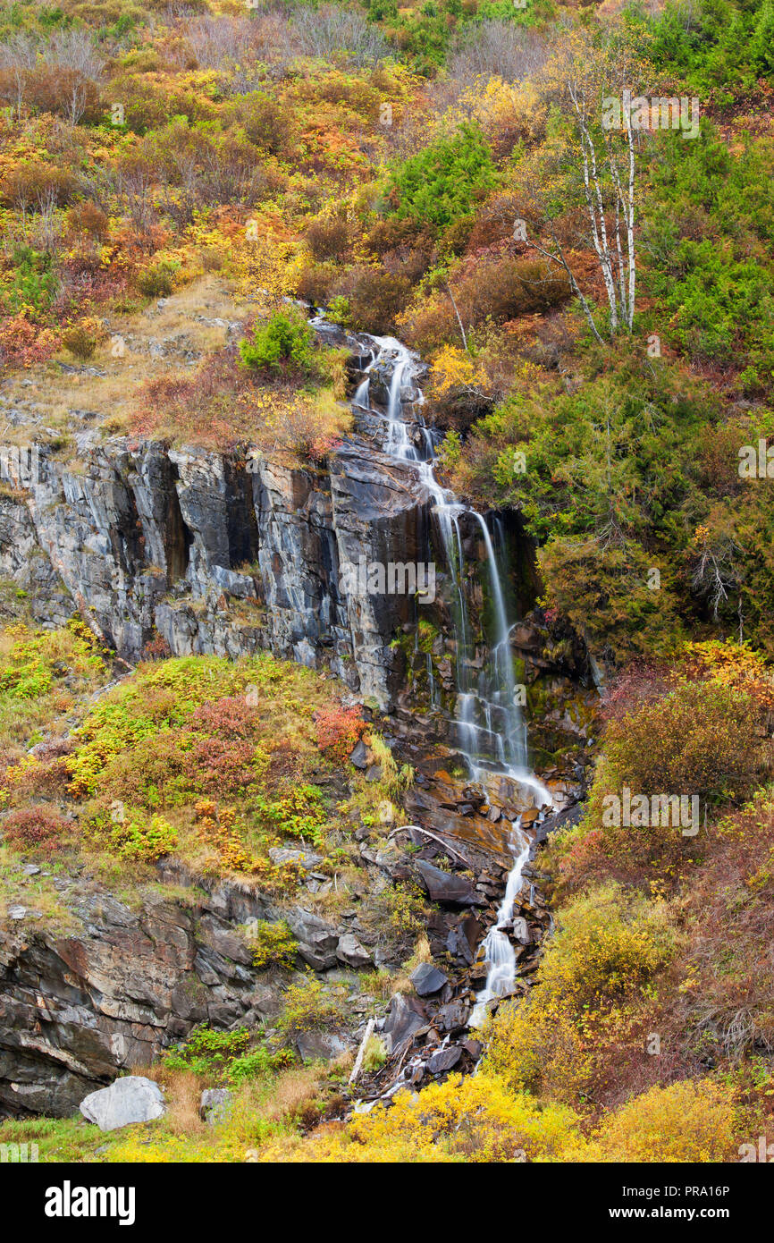 A waterfall on a hillside covered in colorful autumn trees and shrubs, British Columbia, Canada