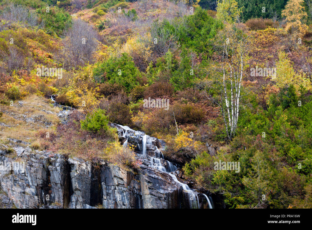 A waterfall on a hillside covered in colorful autumn trees and shrubs, British Columbia, Canada