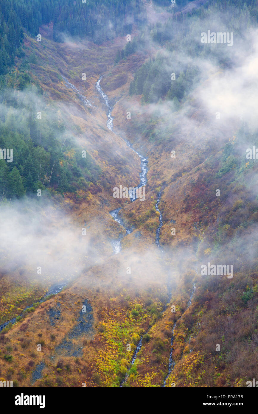 A mountain side covered in colorful autumn trees and shrubs, British Columbia, Canada Stock