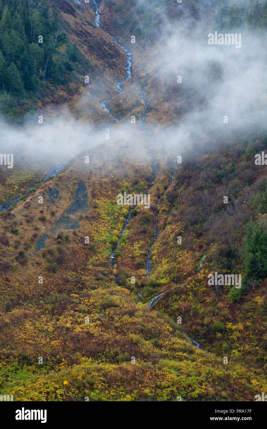 A mountain side covered in colorful autumn trees and shrubs, British Columbia, Canada Stock