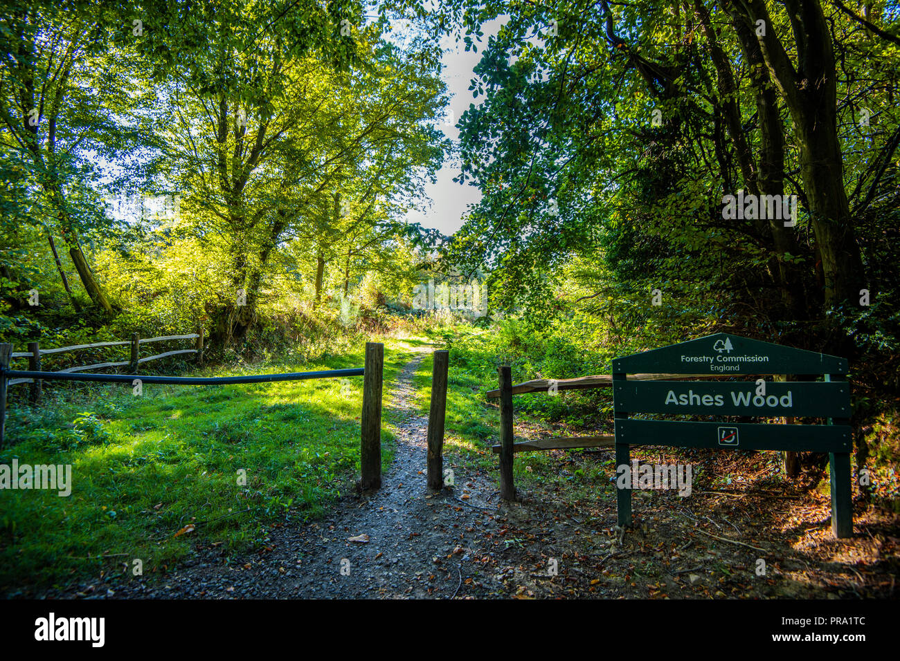 Entrance to Ashes Wood, Netherfield, East Sussex, England Stock Photo