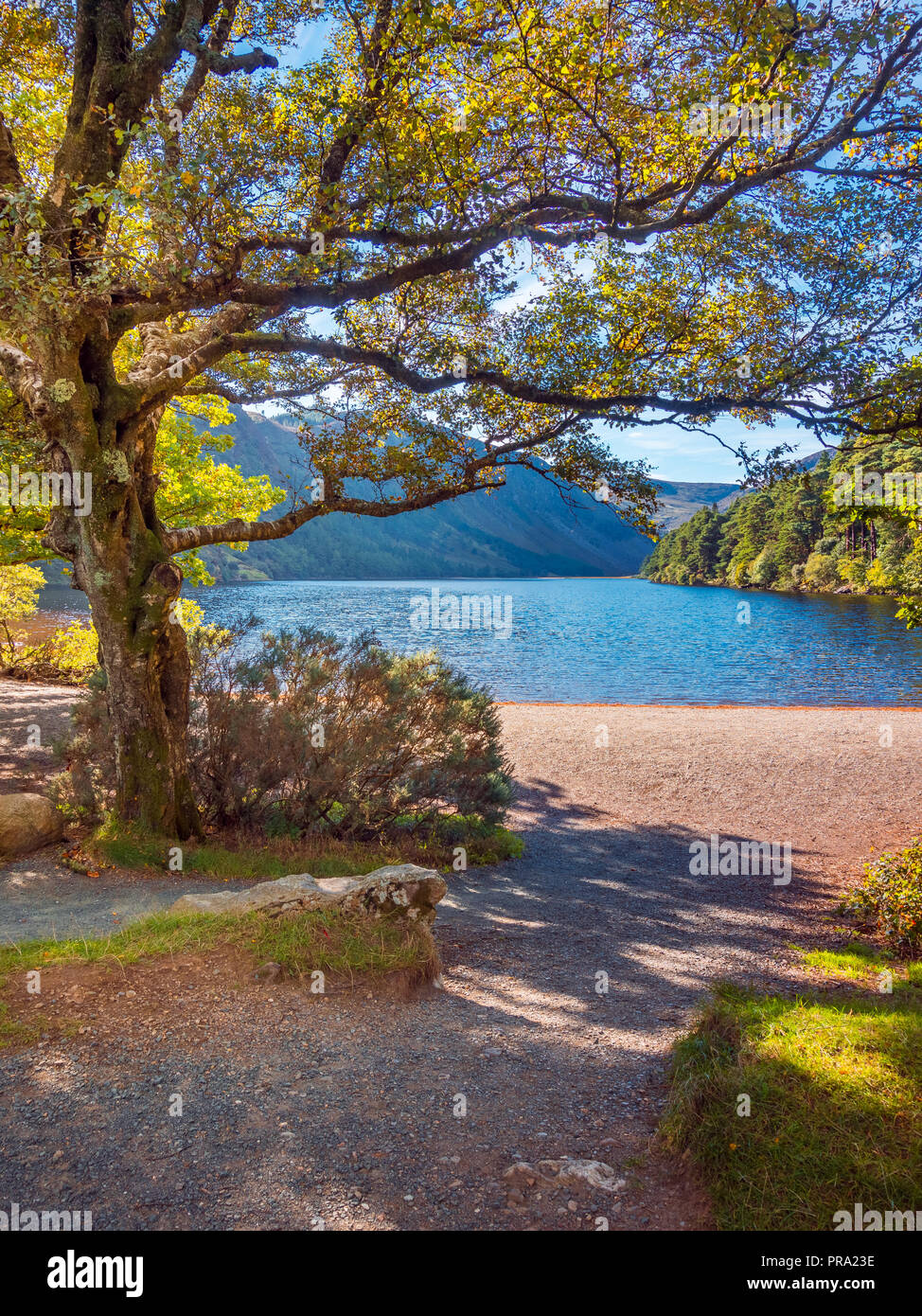 Morning at Upper Lake in Glendalough, Wicklow Mountains - Ireland Stock Photo