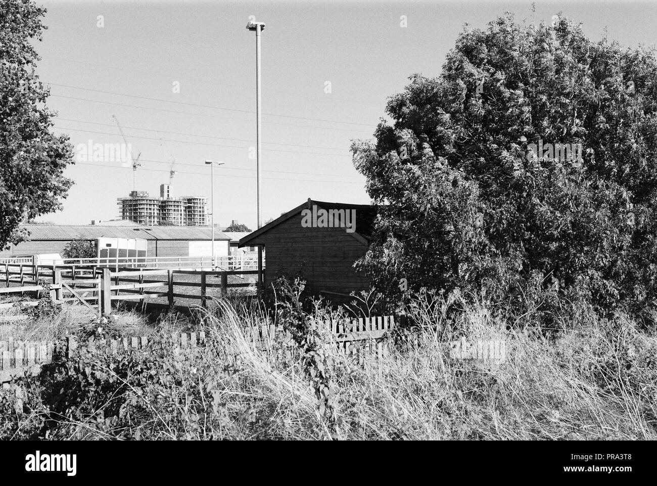 New apartment blocks under construction behind the Lee Valley Riding School on Walthamstow Marshes, North London UK Stock Photo