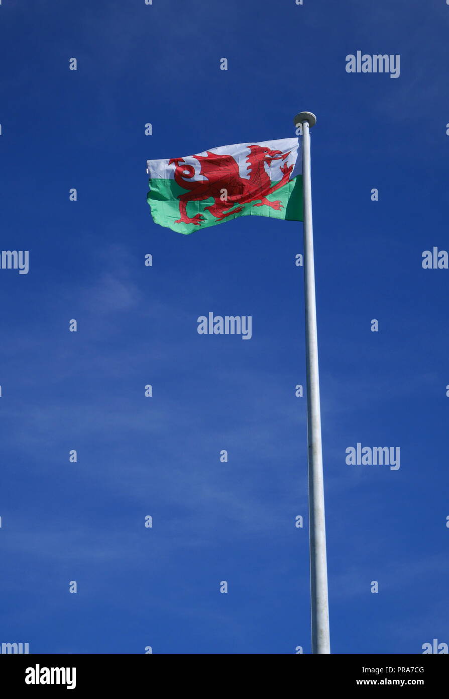 Welsh flag, y ddraig goch, blowing in the wind, Snowdonia, North Wales, United Kingdom Stock Photo