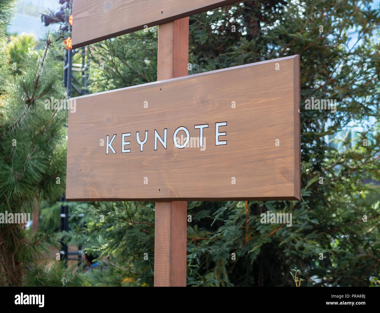 Keynote wooden sign post providing direction Stock Photo