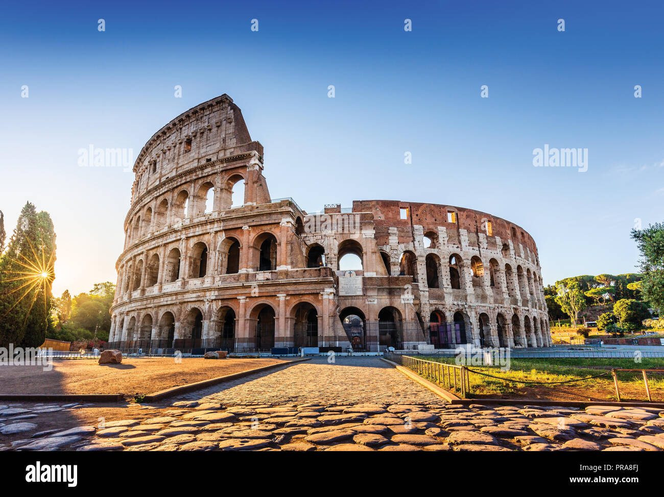 Coliseum Italy  Rome Italy travel rome Europe destinations