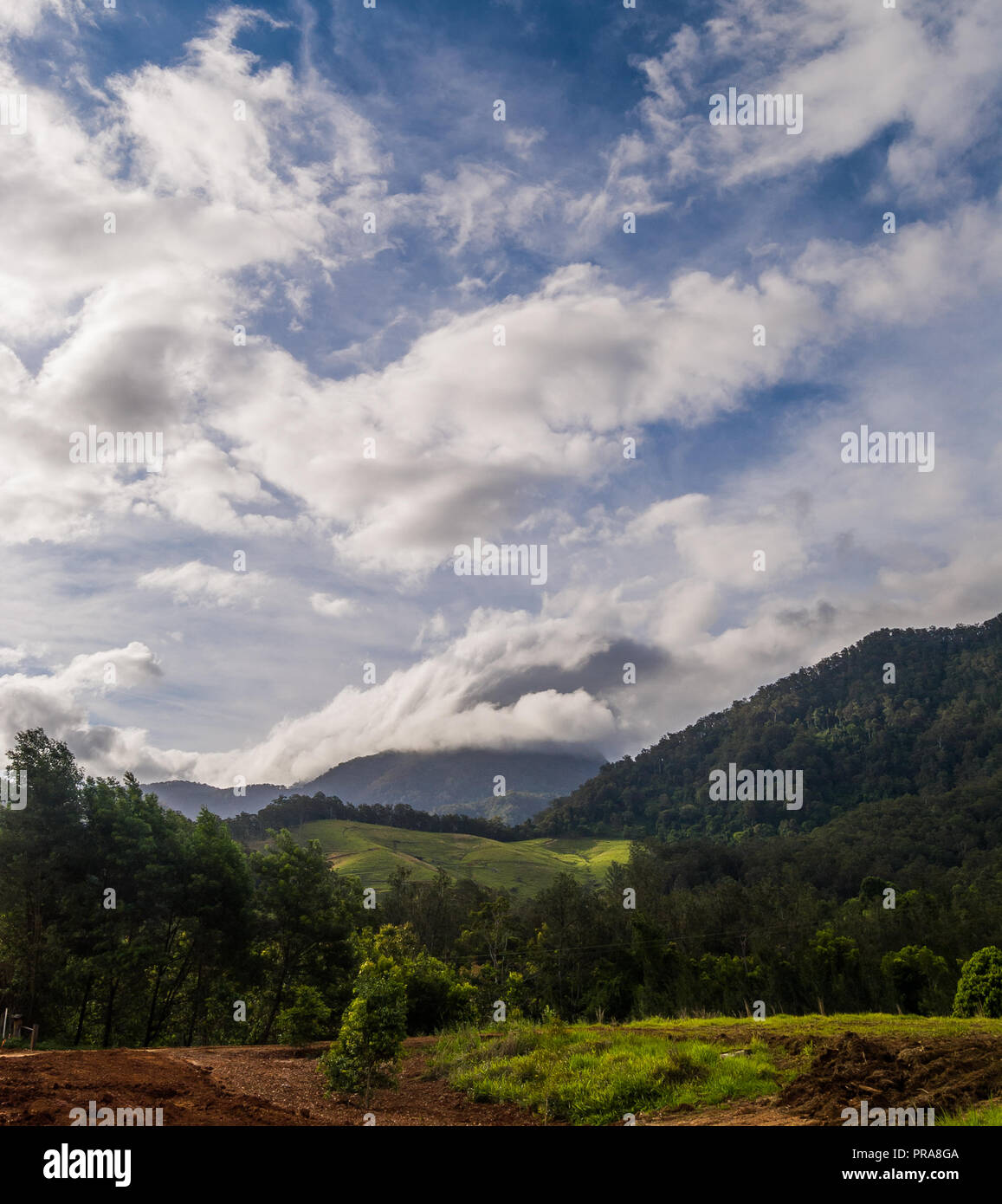 Mount Warning shrouded in clouds Stock Photo - Alamy