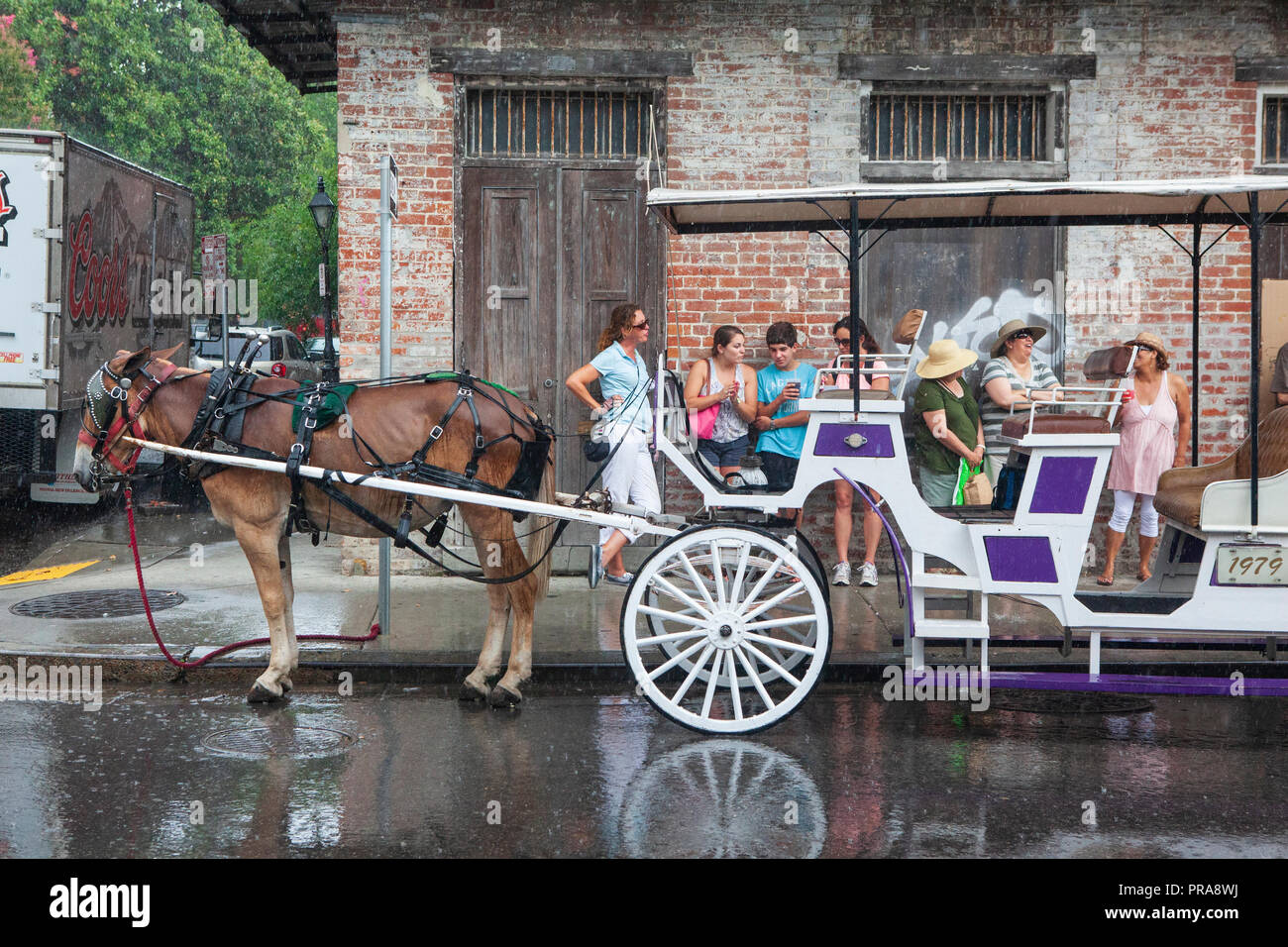 Horse and carriage ride new orleans hires stock photography and images