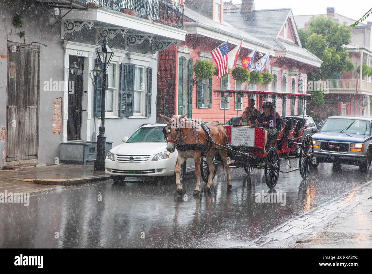 Horse and carriage ride new orleans hires stock photography and images