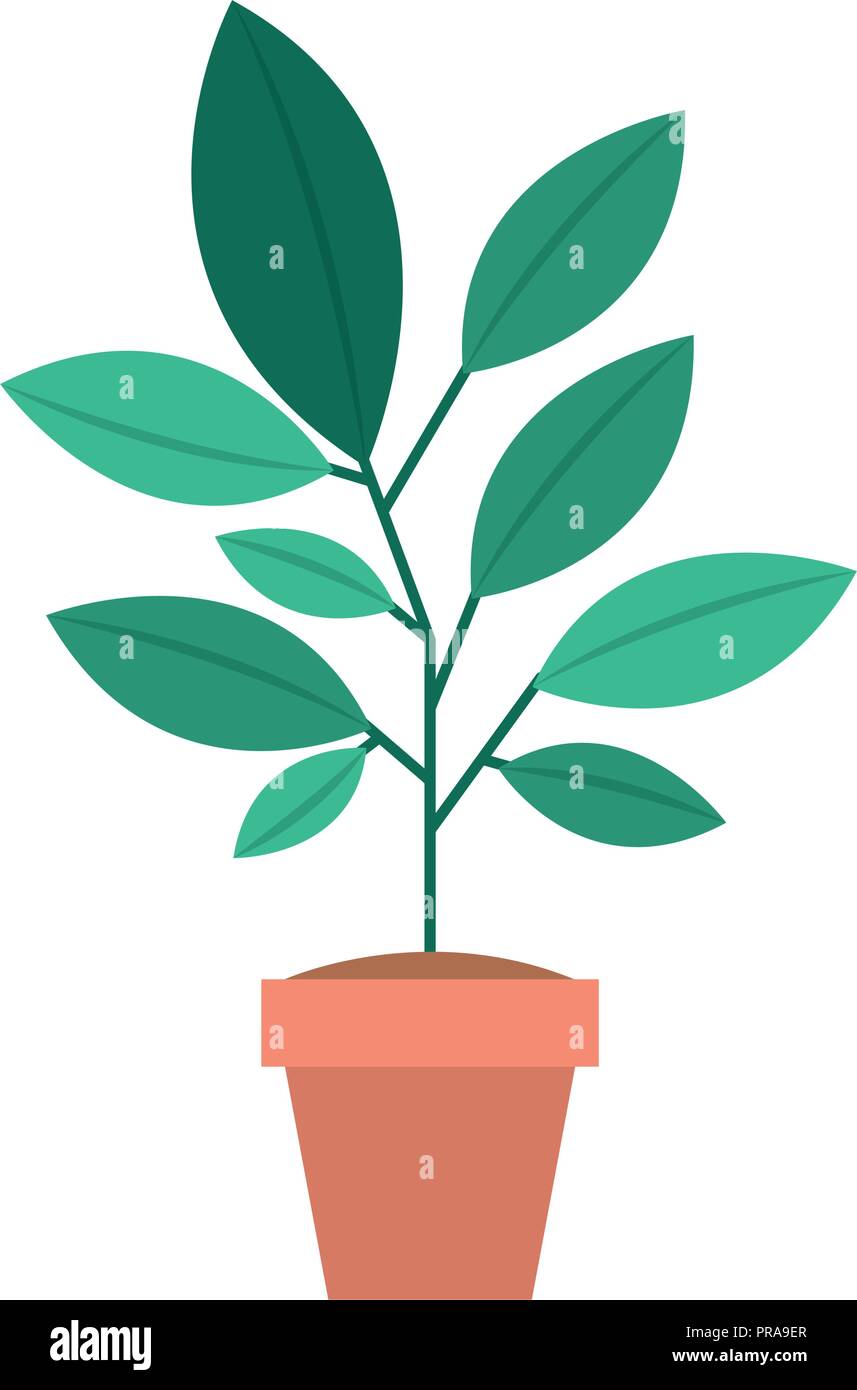 houseplant in pot icon Stock Vector Image & Art - Alamy