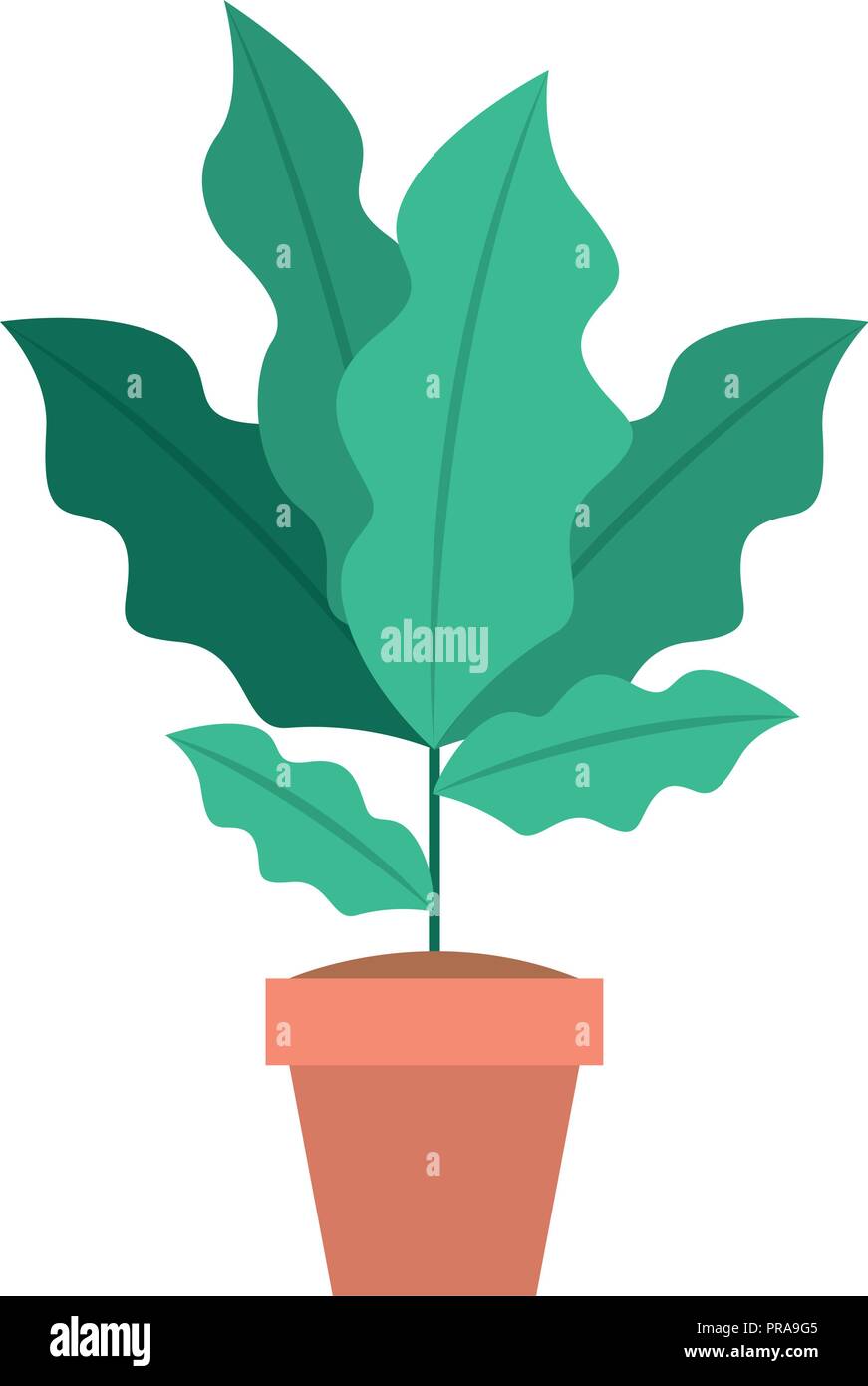 houseplant in pot icon Stock Vector Image & Art - Alamy