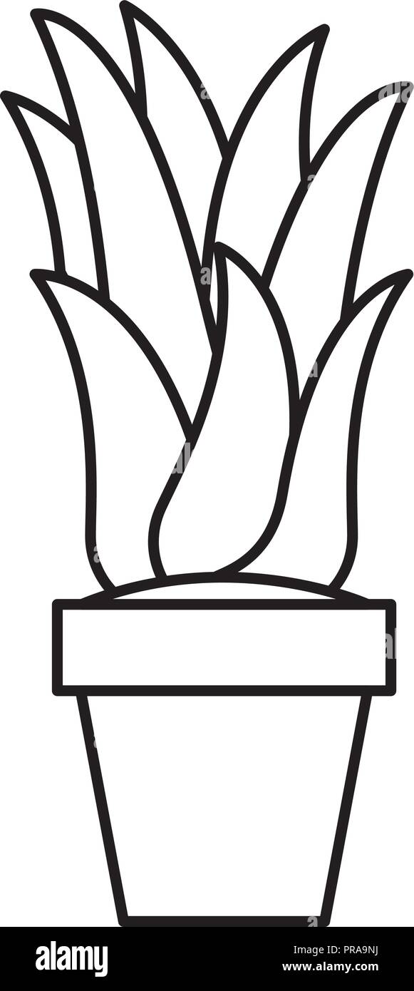 houseplant in pot icon Stock Vector Image & Art - Alamy