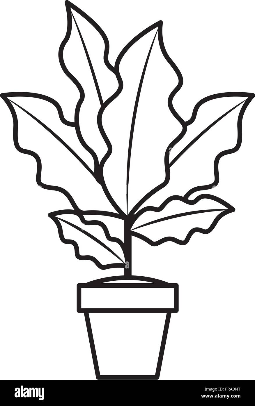 houseplant in pot icon Stock Vector Image & Art - Alamy