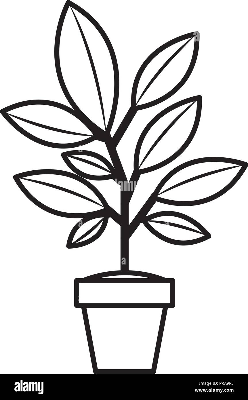 houseplant in pot icon Stock Vector Image & Art - Alamy