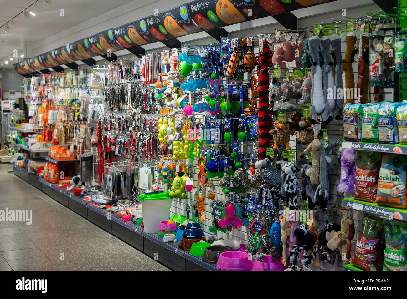 Pet store display with toys and accessories for dogs and cats. Stock Photo