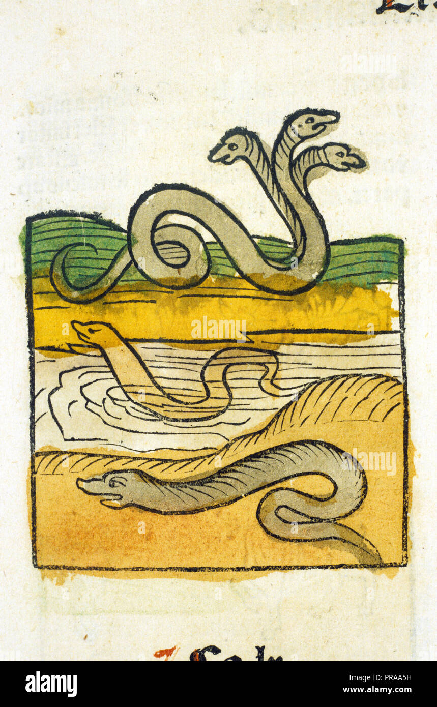 Three Headed Snake Monster