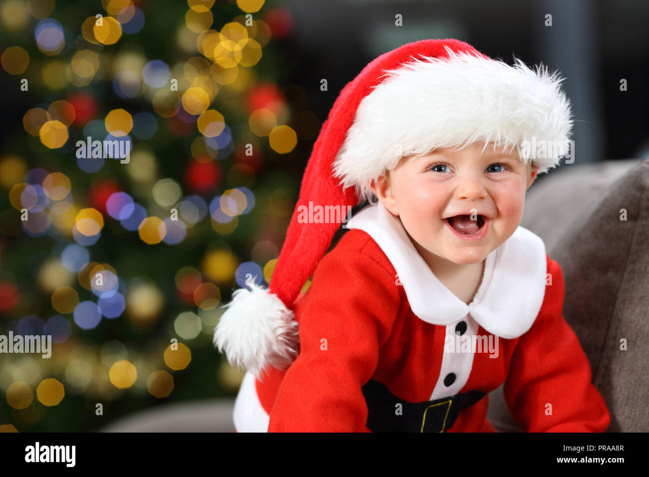 Baby laughing wearing santa claus disguise on a couch at home in christmas with a tree in the background Stock Photo